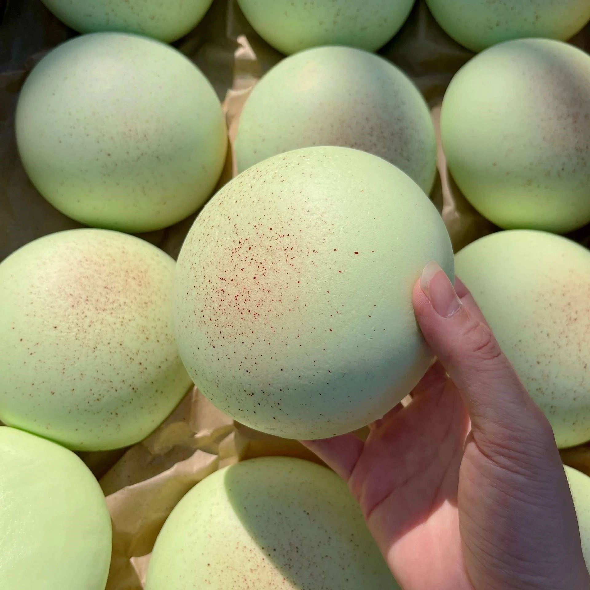 Daifuku Mochi Squishy
