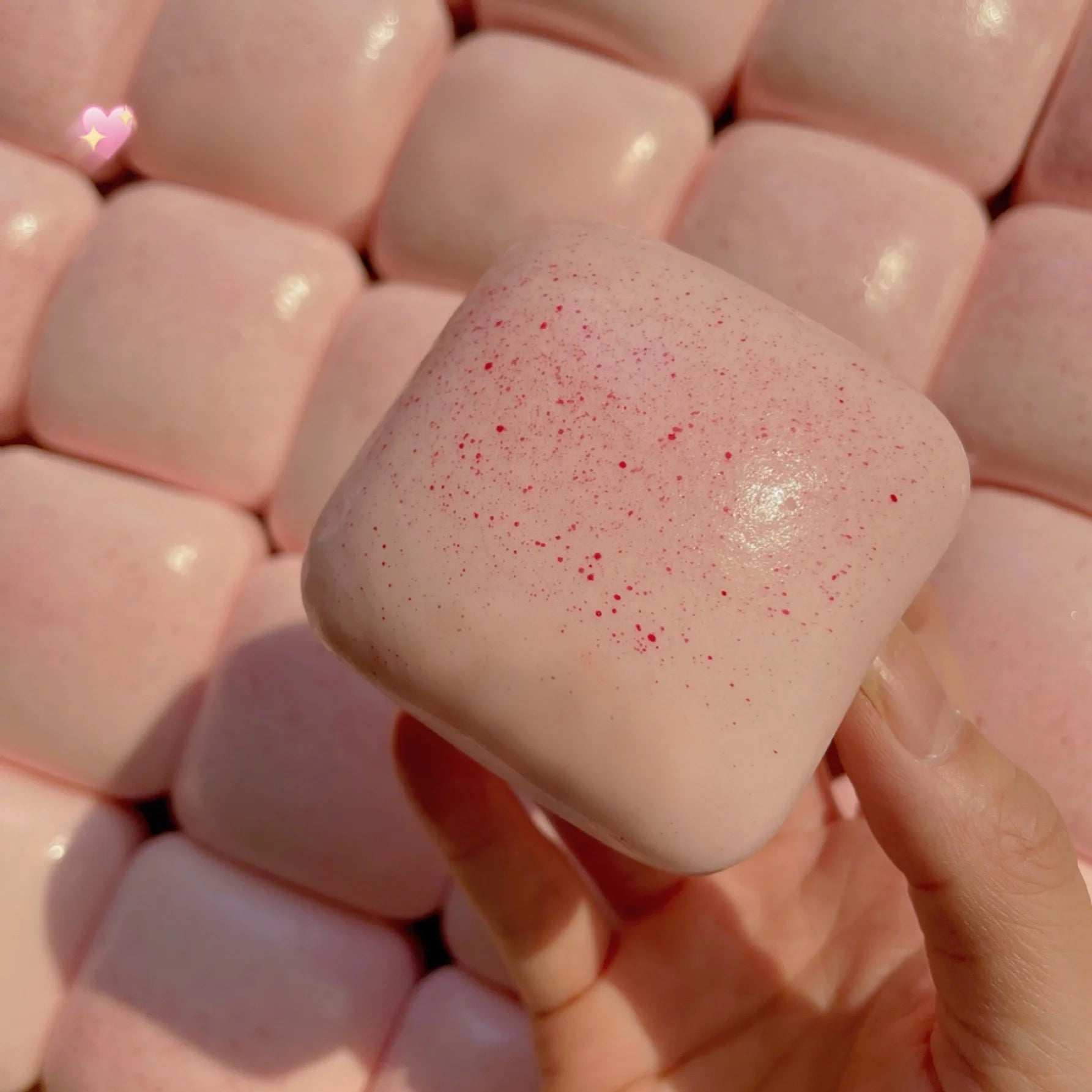 Square Bread Toast Squishy