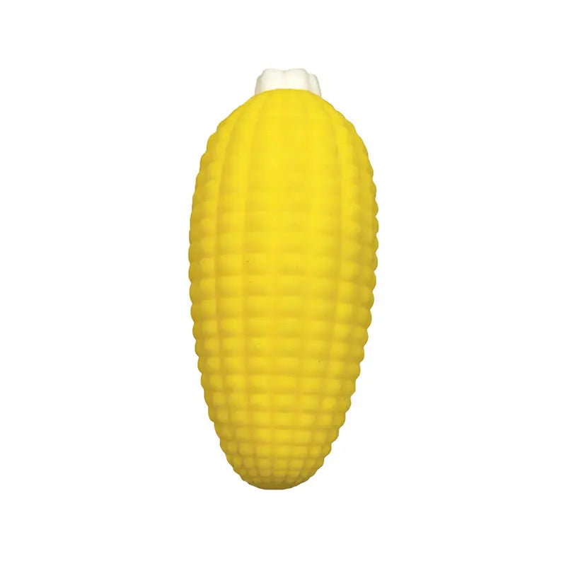 Fruit and Veggie Squishy