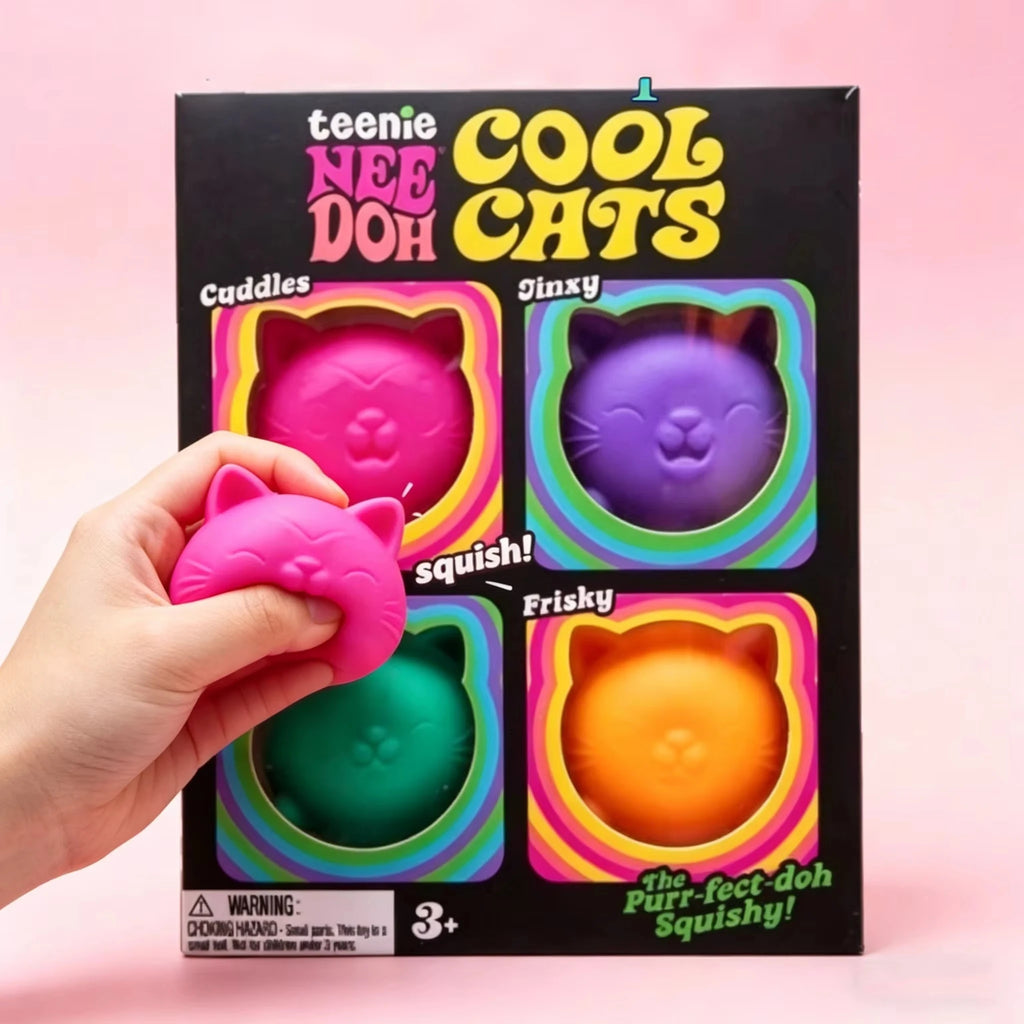 NeeDoh Cool Cat Squishy