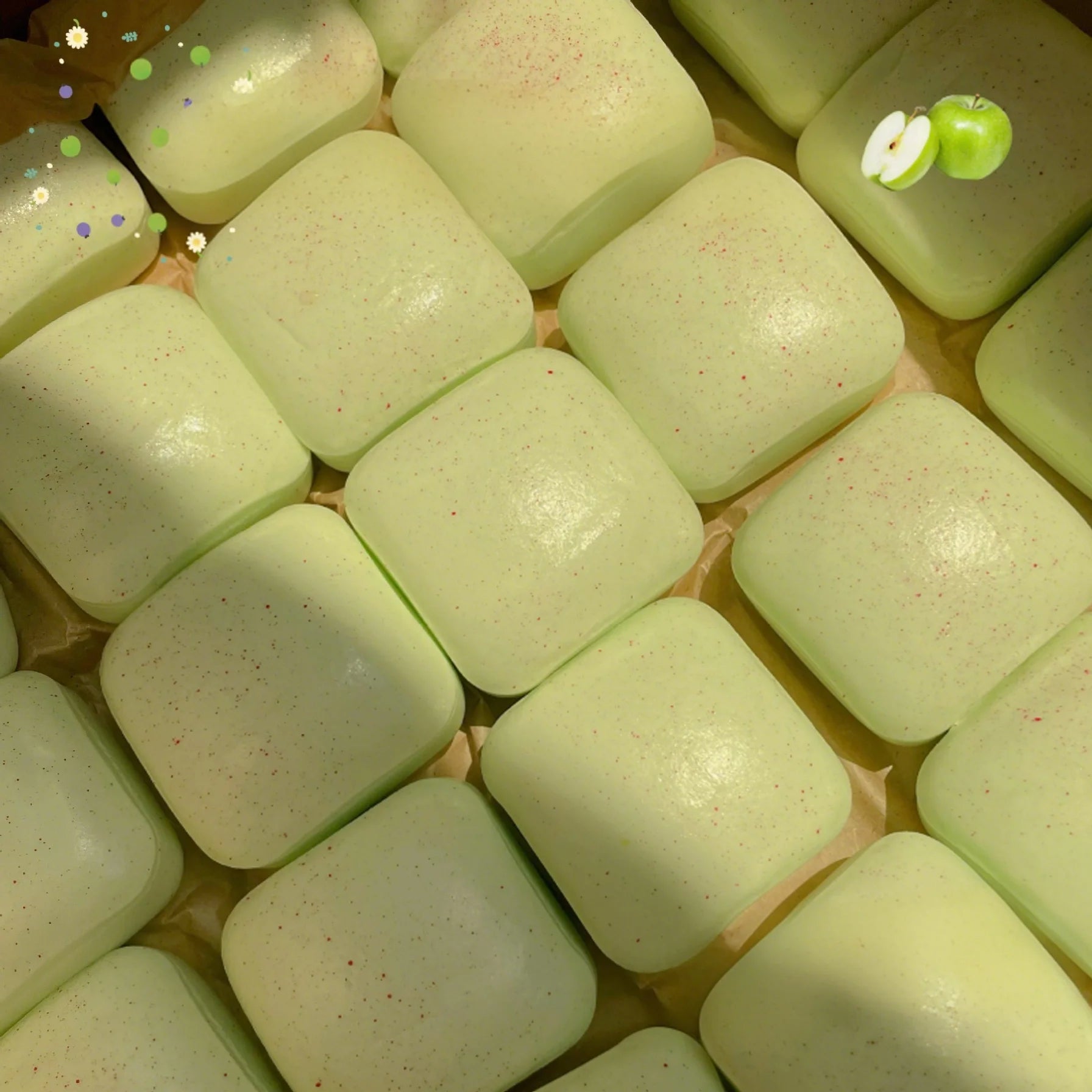 Square Bread Toast Squishy
