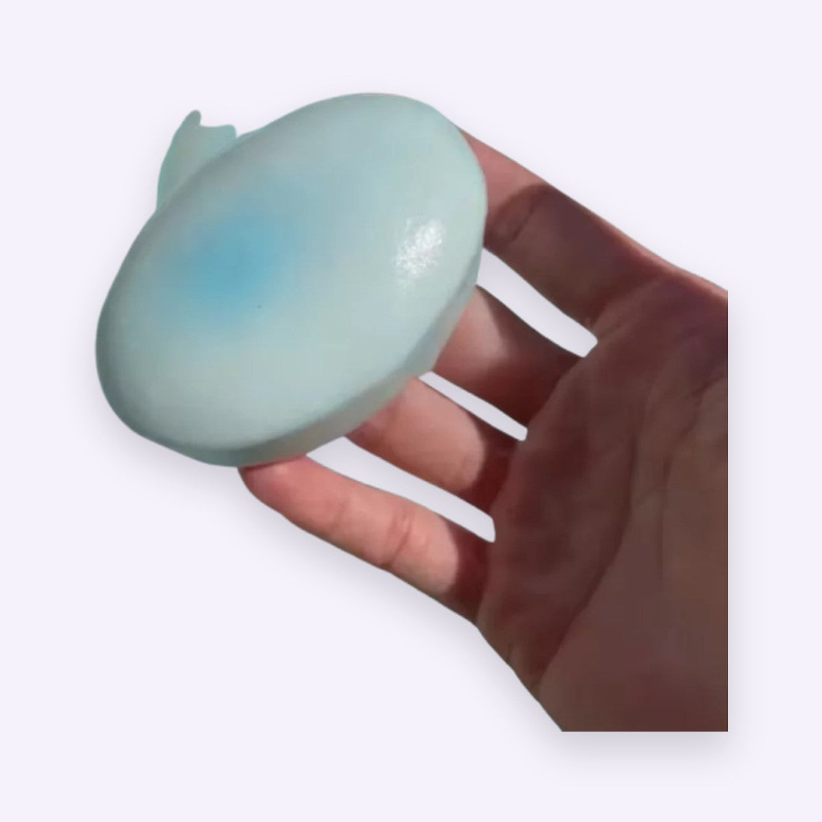 Cheese Cake Squishy